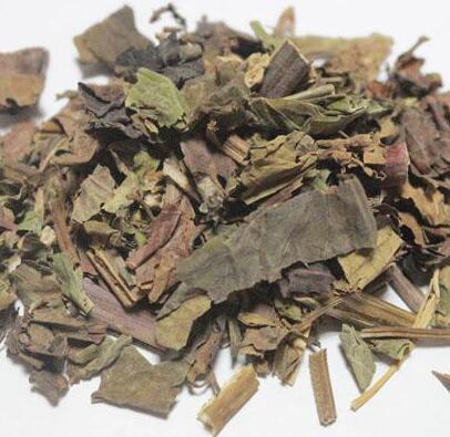 石見(jiàn)穿 HERBA SALVIAE CHINENSIS