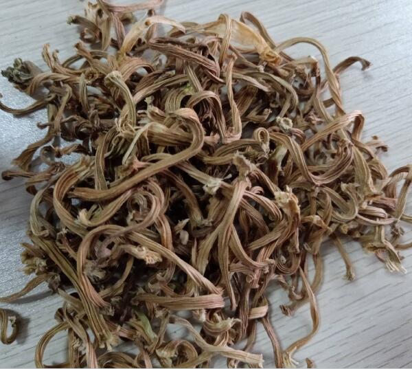 瓜蒂(甜瓜蒂) Pedicellus melo