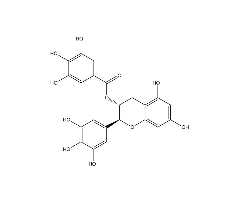 沒食子兒茶素沒食子酸酯|4233-96-9