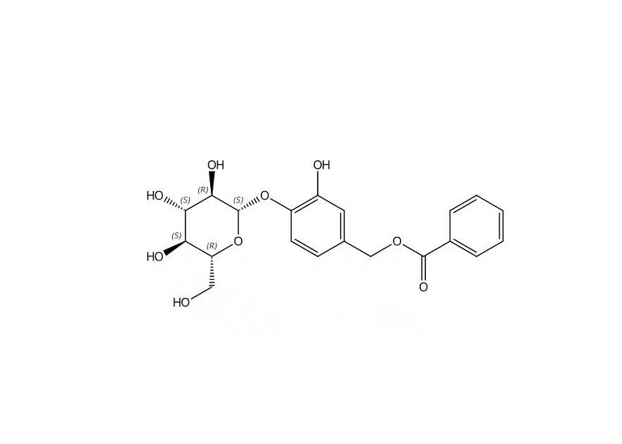 Salviifoside A|1175539-71-5