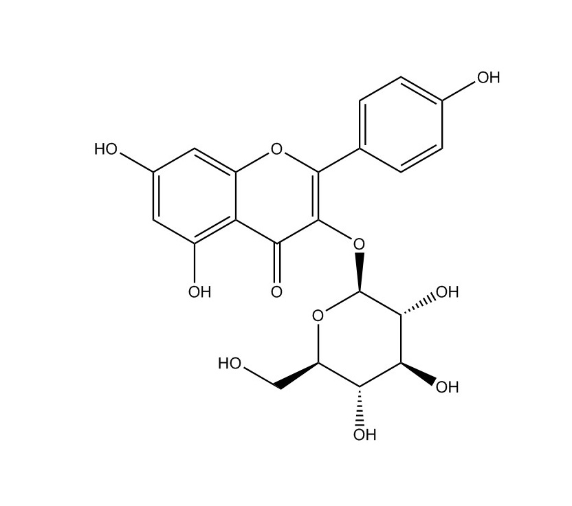 紫云英苷|480-10-4