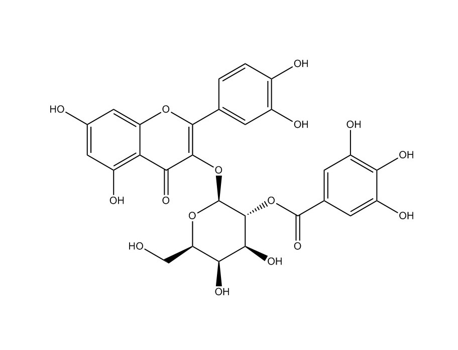 2”-O-沒食子酰基金絲桃苷|53209-27-1
