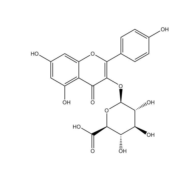 山奈酚葡萄糖醛酸苷|22688-78-4